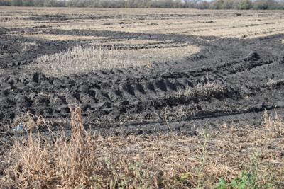 Image result for trying to plant a muddy field