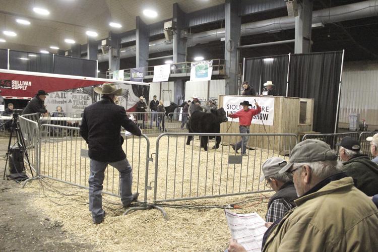 SELS 2024 (38) - worked.jpg