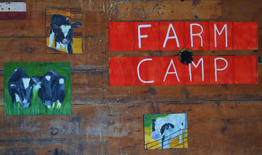Daluge Farm Camp artwork