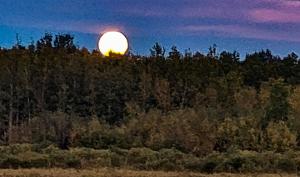 Full moon