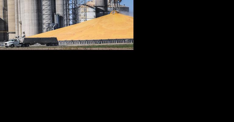What to watch in 2024 farm economy - Vimarsana News