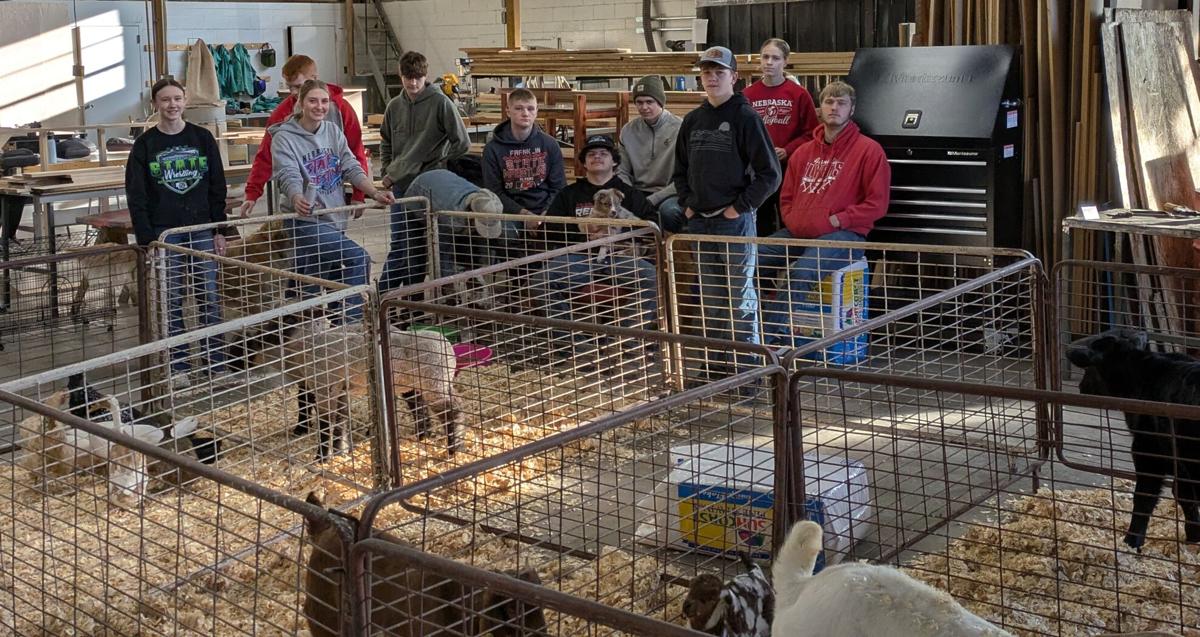 Franklin FFA 1.jpg