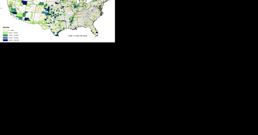 Foreign land investments exposes U.S. security issues - Vimarsana News