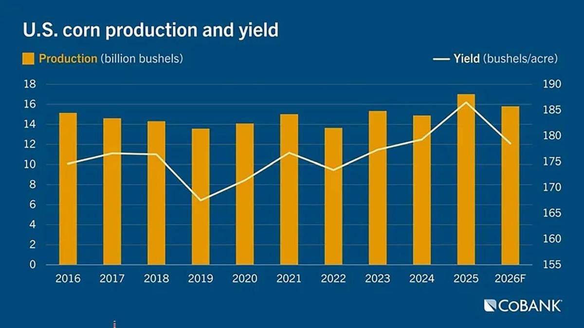 Corn production