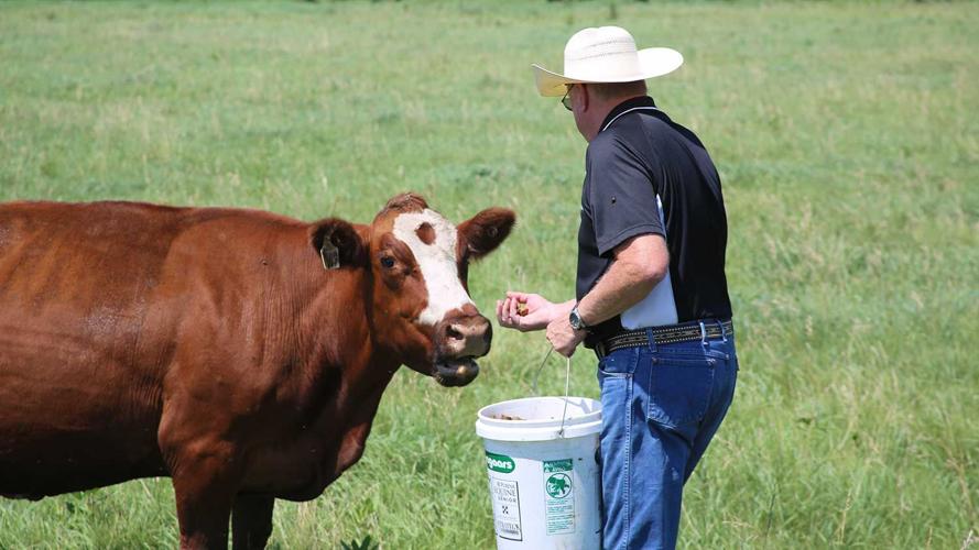 hat with a brim provides sun protection