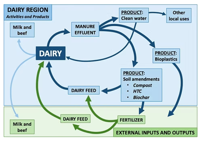 Dairy bioeconomy