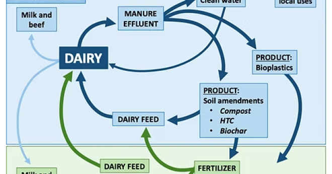 Dairy bioeconomy
