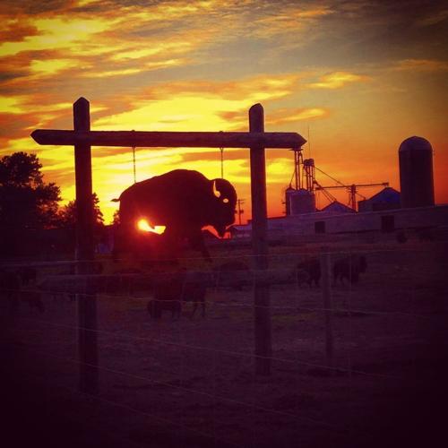Sign outside Maass farm