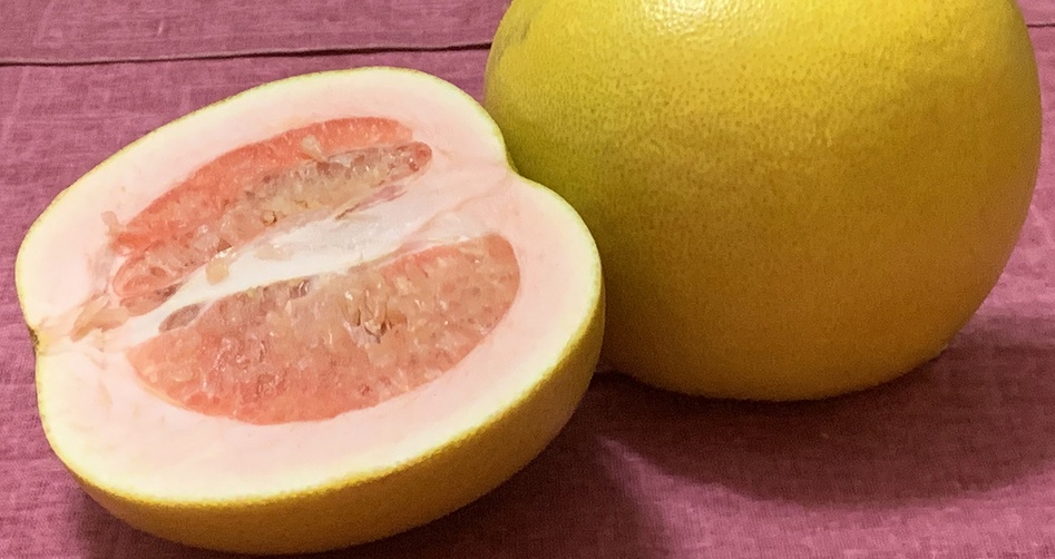 Pomelo fruit