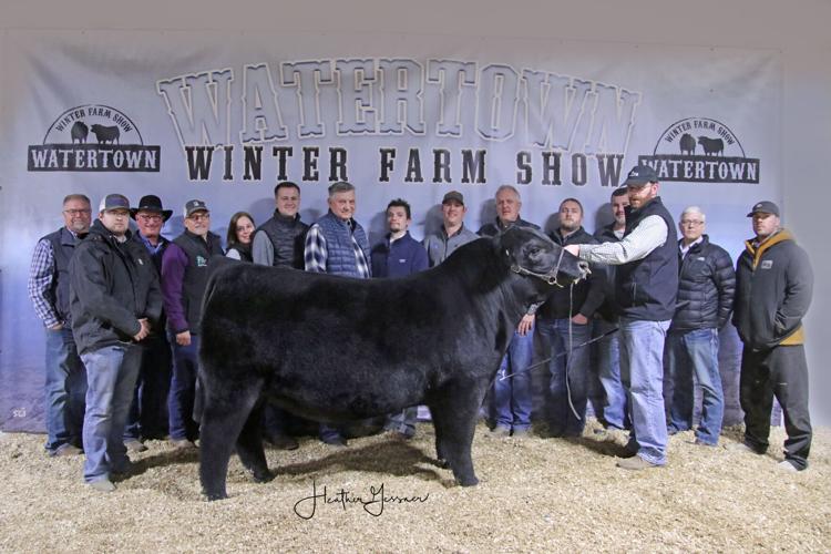 Supreme Bull Gr Angus Bull S&R Angus.jpg