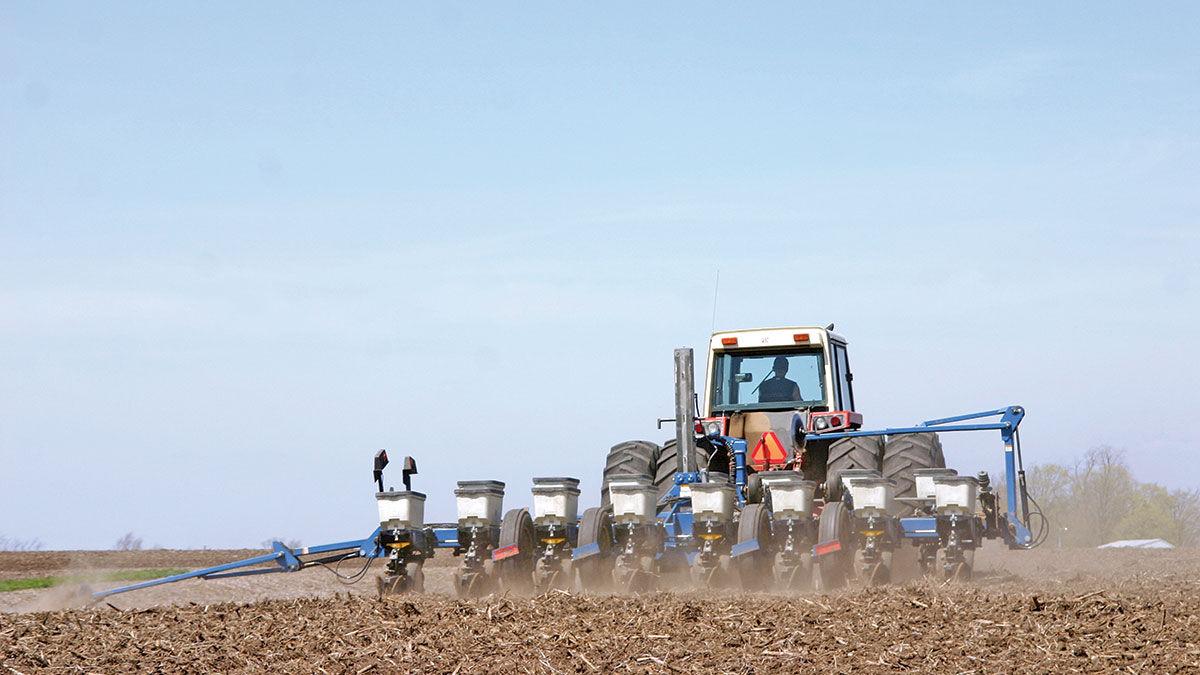 Spring planting