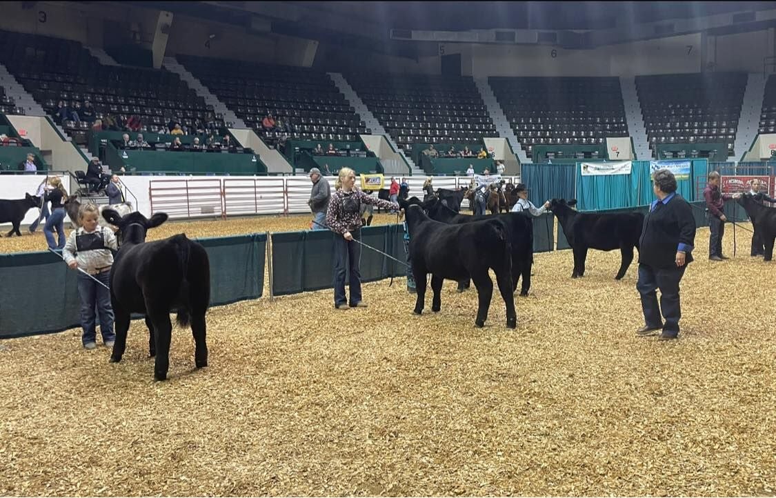 Successful Minnesota Beef Expo kicks off beef show season