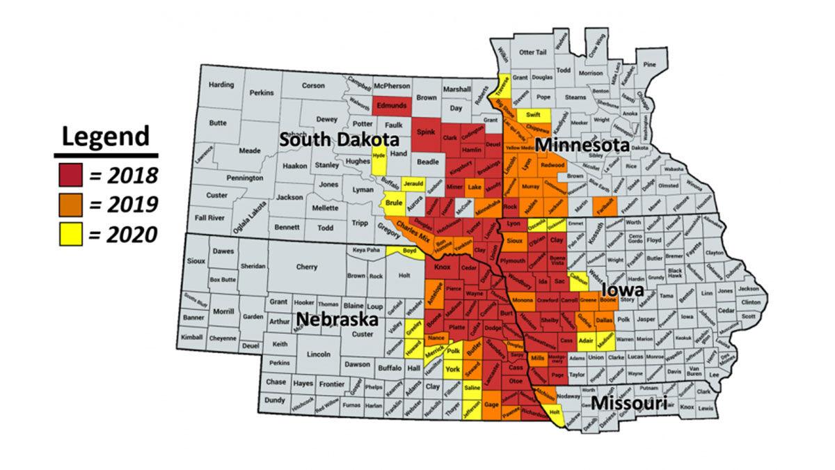 Gall Midge map