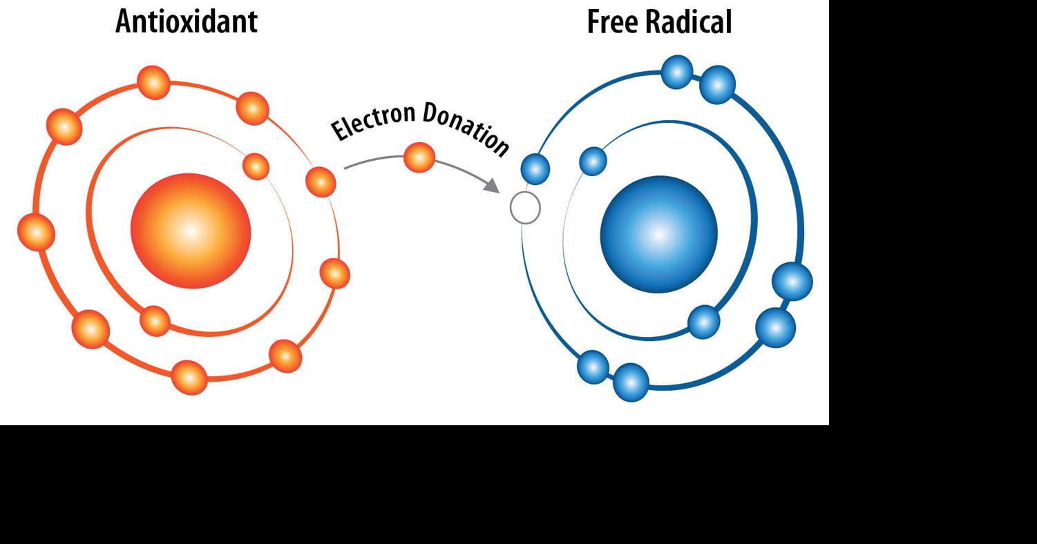 Oxidative stress: How it impacts dairy health Biology Diagrams