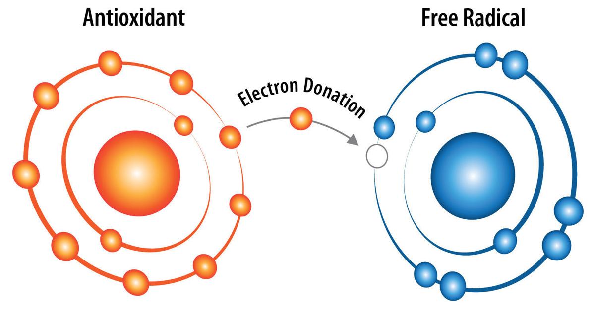 Oxidative stress: How it impacts dairy health Biology Diagrams