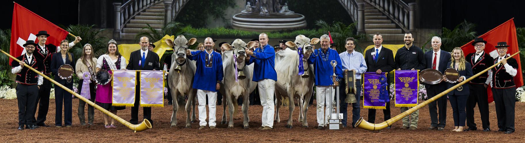 Grand champion and reserve grand champion of 2023 International Brown Swiss Show