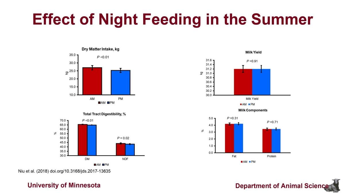 Effect of night feeding in summer