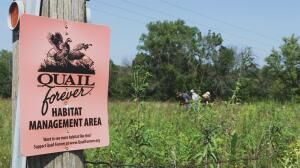 Quail Forever sign