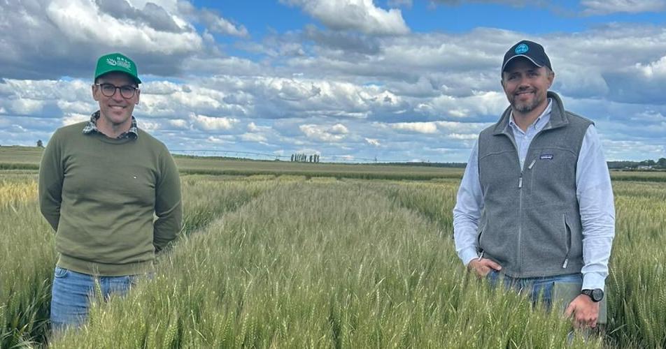 Foraging solutions found in foreign fields