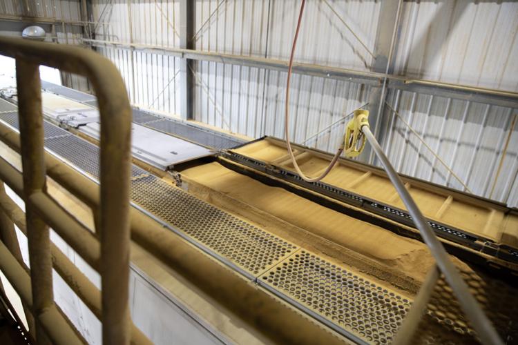 Rail Car Loading DDGS at POET facility.jpg