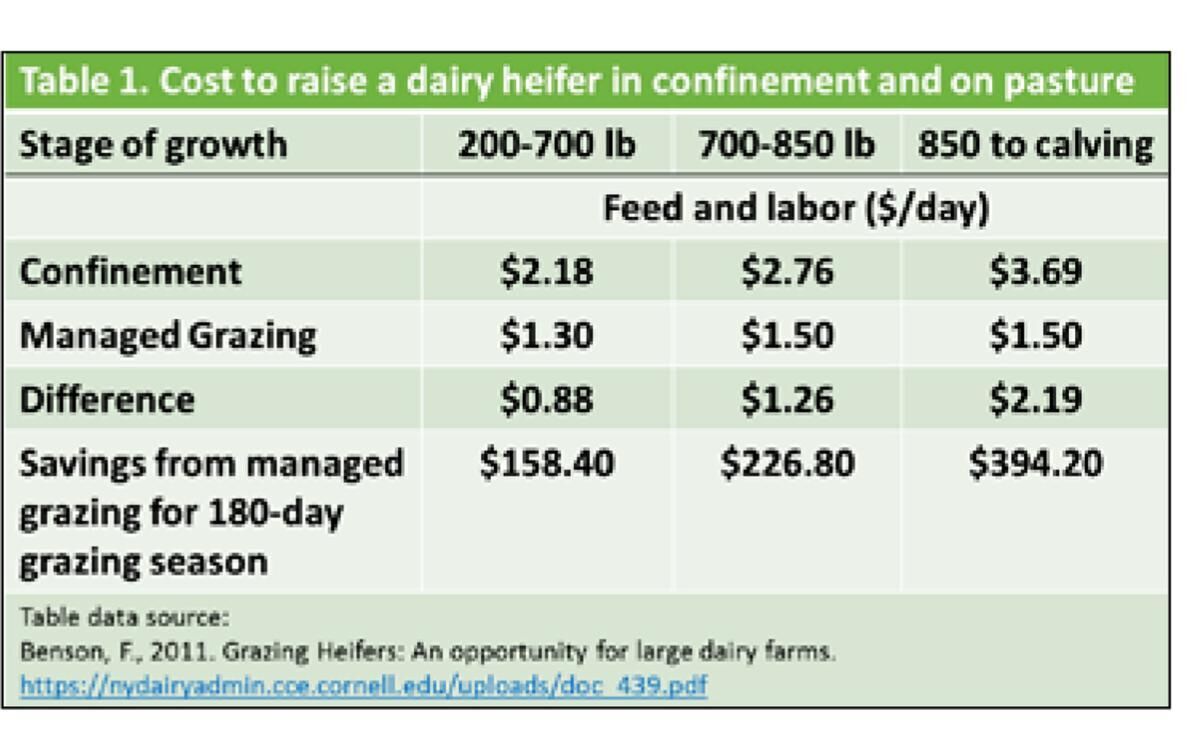 Cost to raise a dairy heifer, confinement and pasture