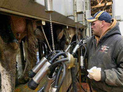 Make sure farm aid is cost-effective during coronavirus crisis