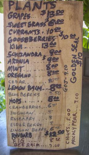 Prices