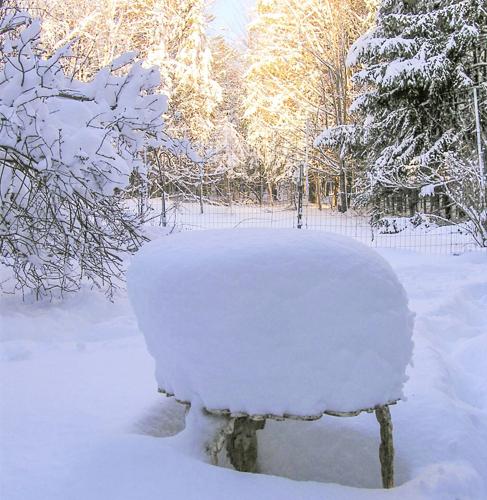 Snow-covered table