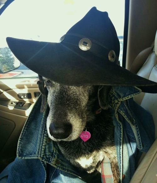 Annie Girl