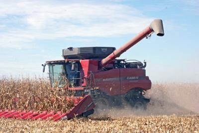 sd corn yield winners