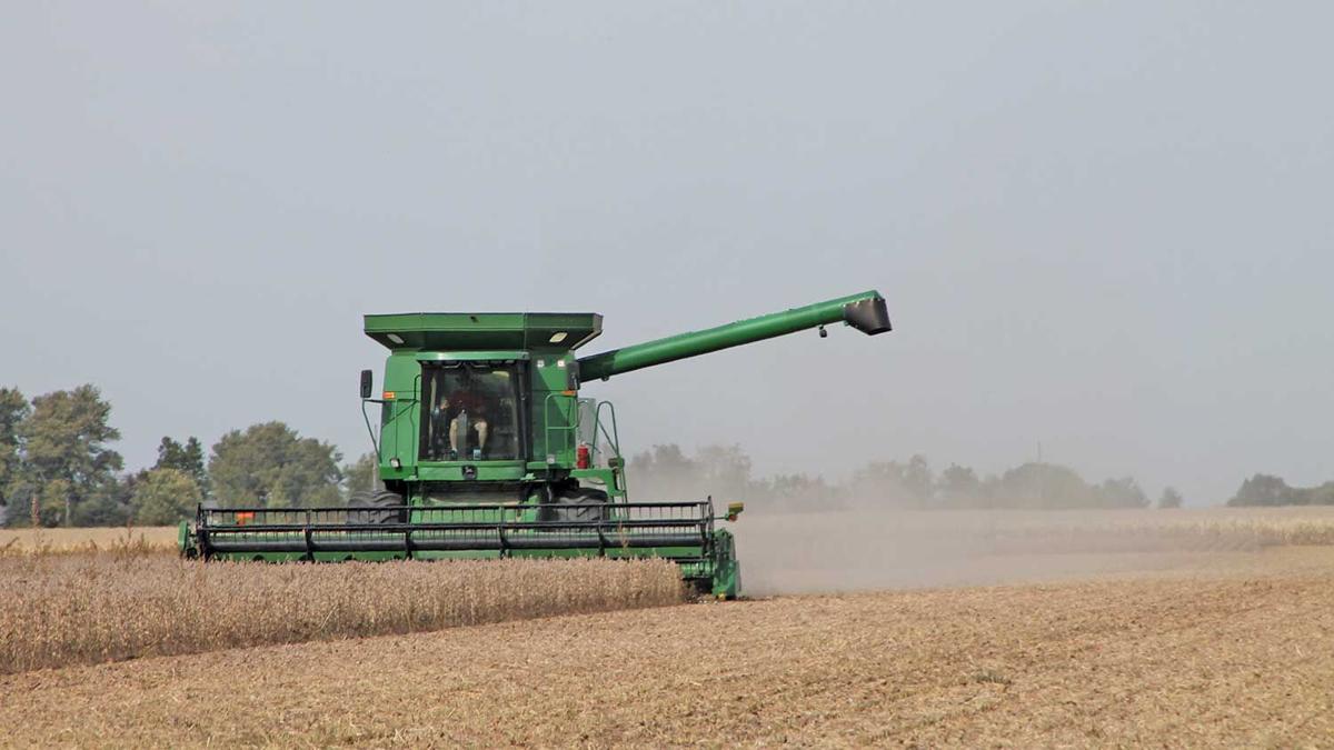 Vince Jackson harvests soybeans