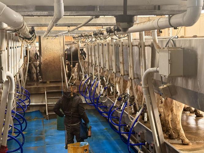 Milking parlor