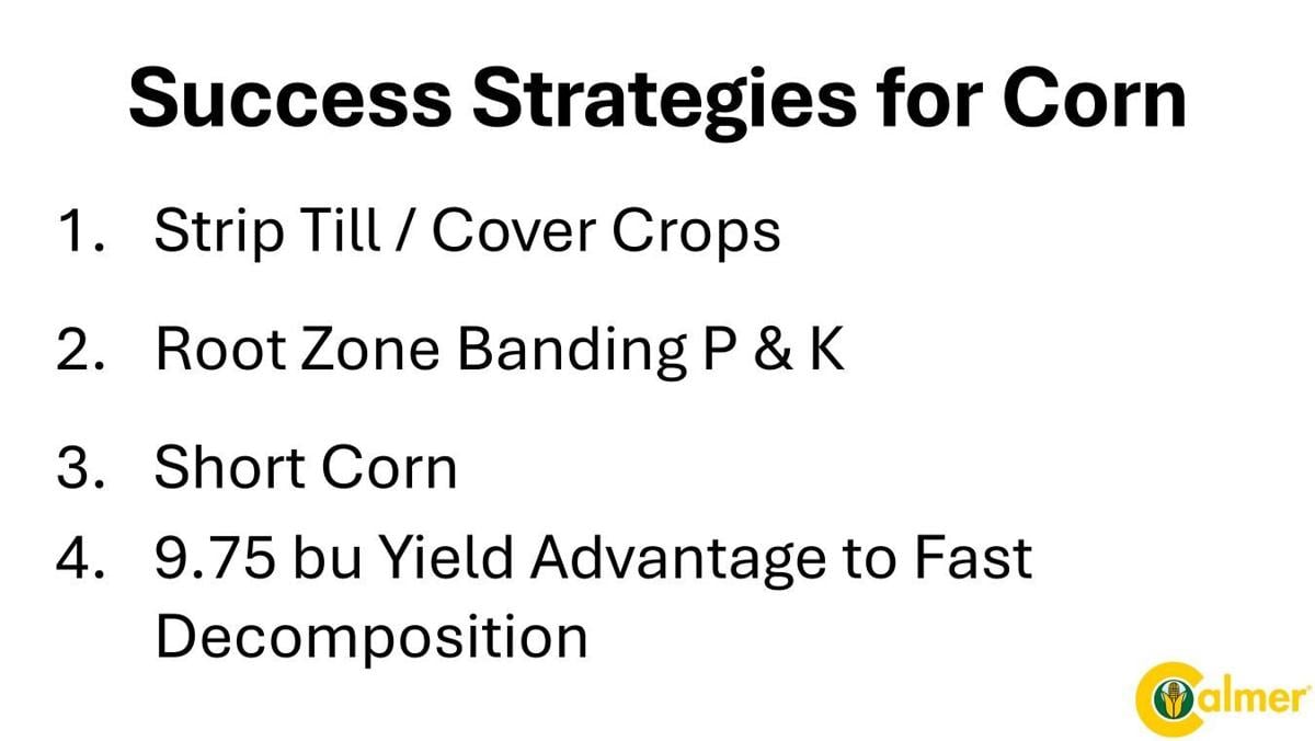 Corn success