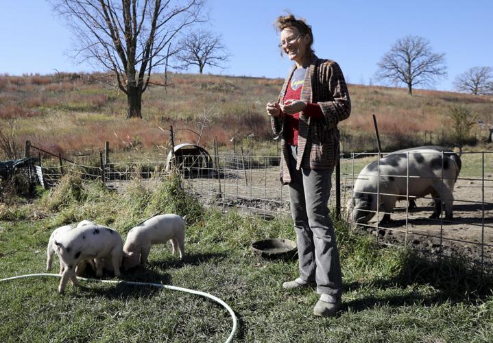 April Prusia with pigs