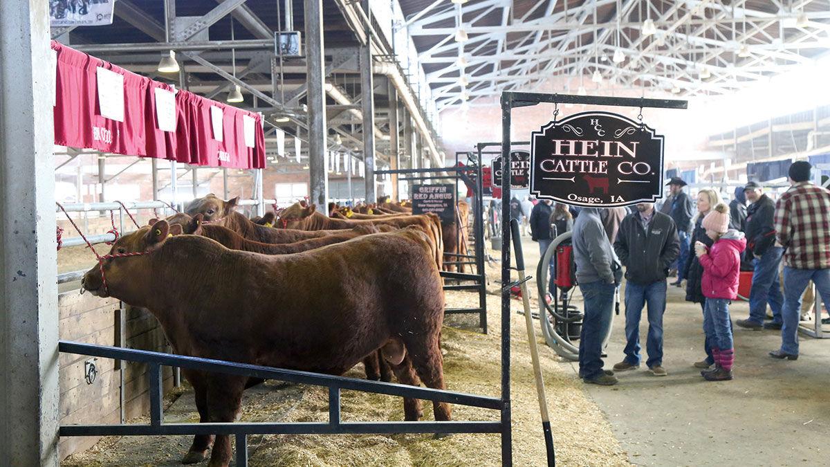 Iowa Beef Expo top sellers defy expectations