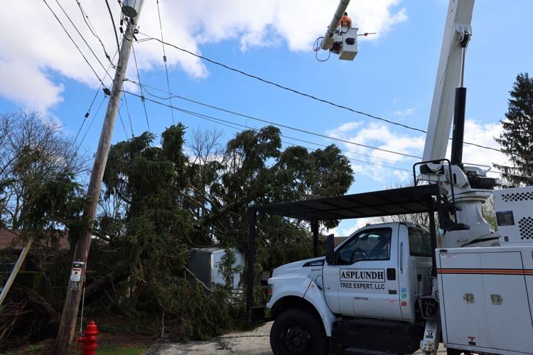 Crews work on fallen tree in Waterford