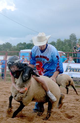 Marquette County Fair