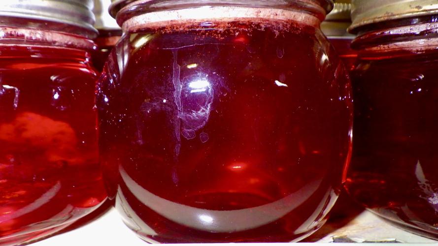 Jelly