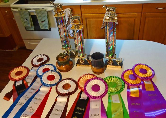Goat awards