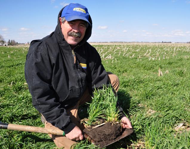 Farmer in field