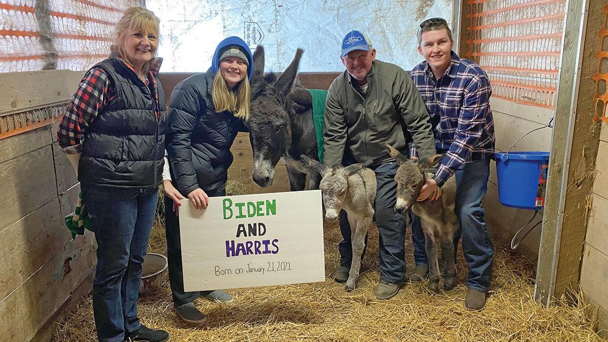 twin donkeys, Biden and Harris,