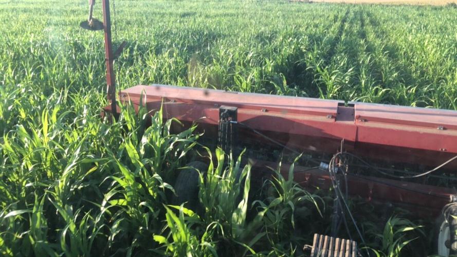 Outside the box 8.jpg