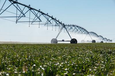 Irrigation