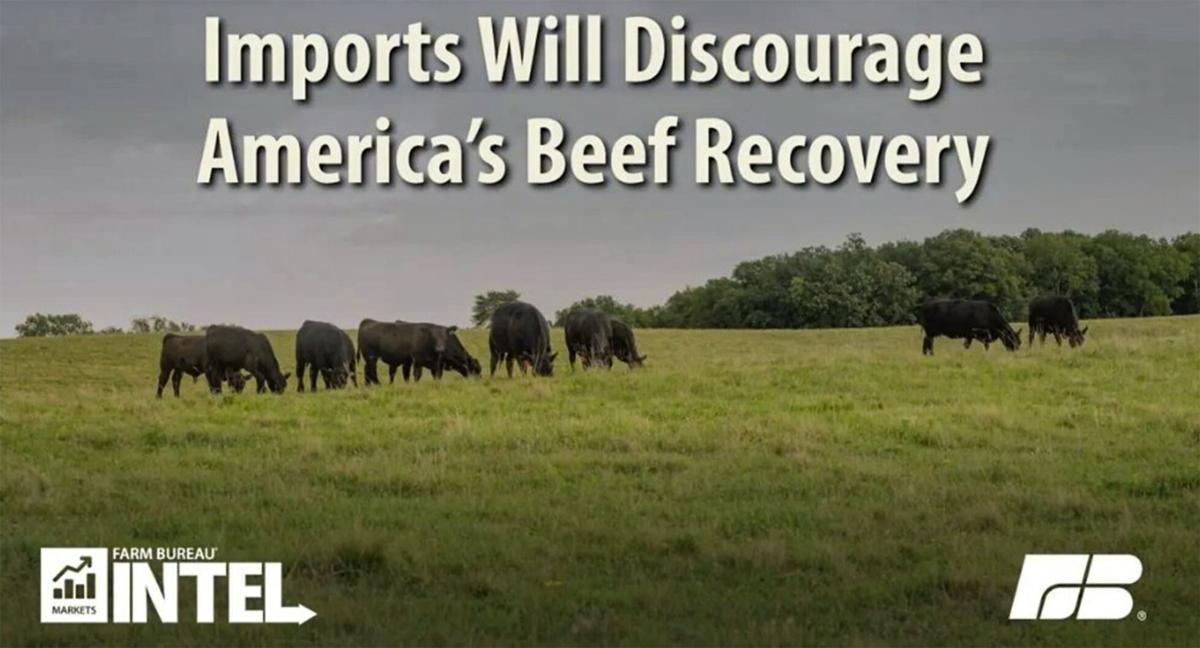 Imports will discourage