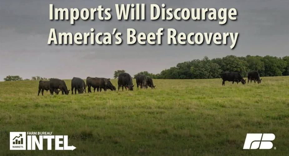 Imports will discourage