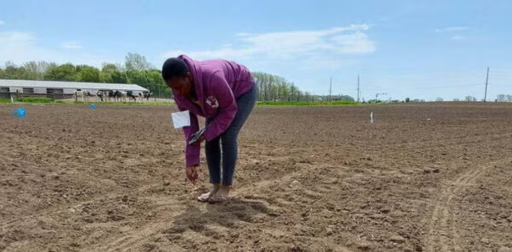 Millimouno sampling designer pellets