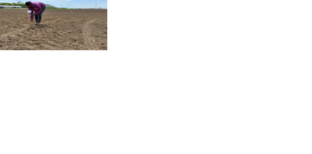 Millimouno sampling designer pellets