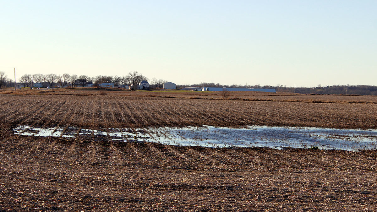 Winter field standing water