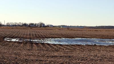 Winter field standing water