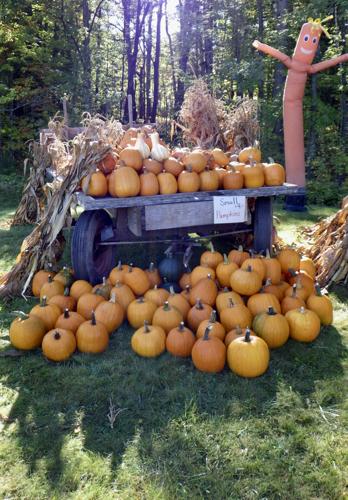 Pumpkins